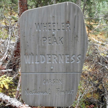Besides the Lake Williams trail, hikers could take a branch up to Wheeler Peak, New Mexico's highest elevation at 13,167 ft.