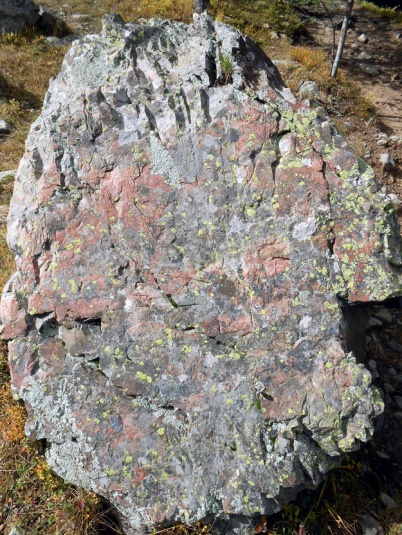 Melanie's BIG rock, though only about 4 feet across. It had beautiful coloring including the lichens.