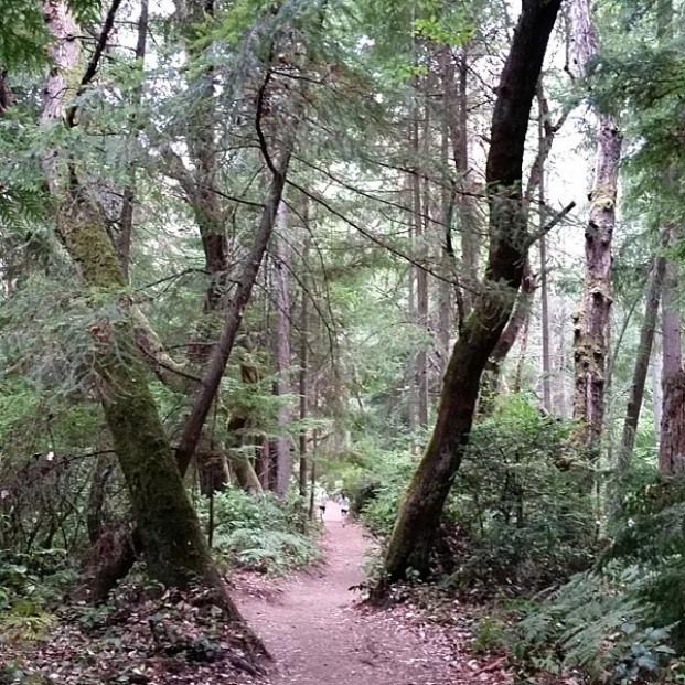 Typical trail scene
